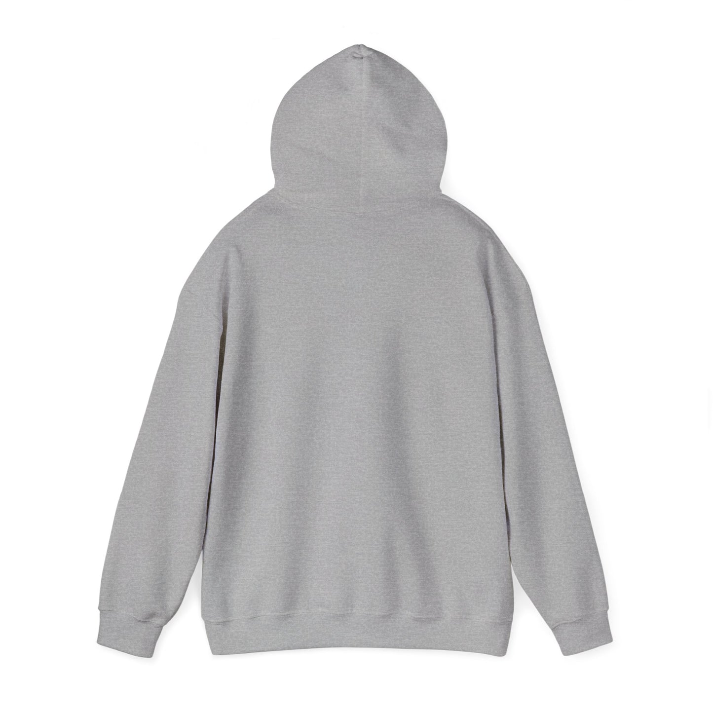Buffalo Football & Beer That's Why I'm Here Hooded Sweatshirt
